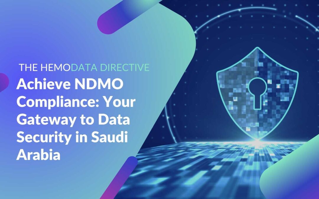Achieve NDMO Compliance: Your Gateway to Data Security in Saudi Arabia